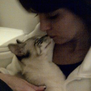 * Pease help me support local animal shelters *